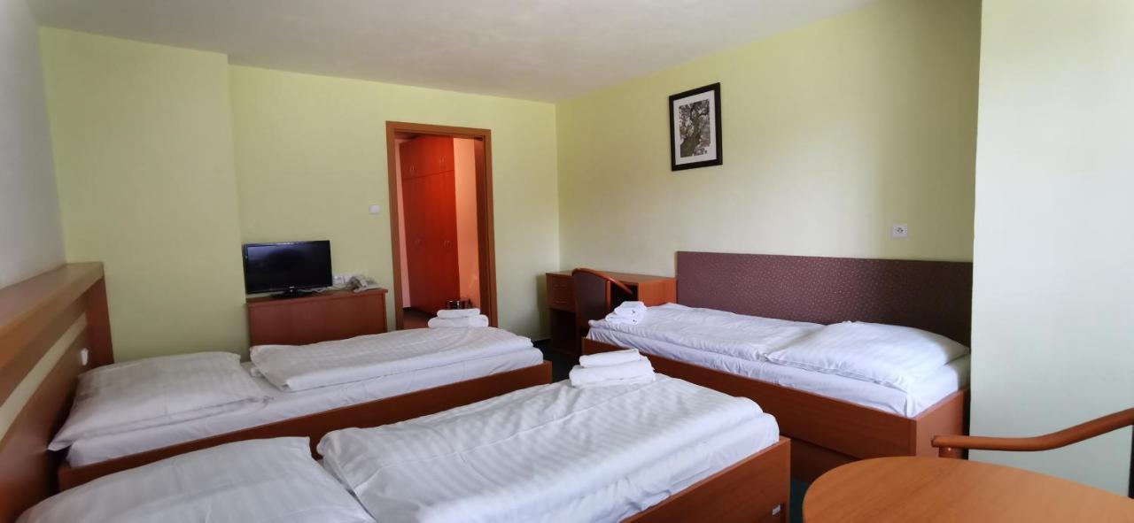 Hotel Svratka מראה חיצוני תמונה